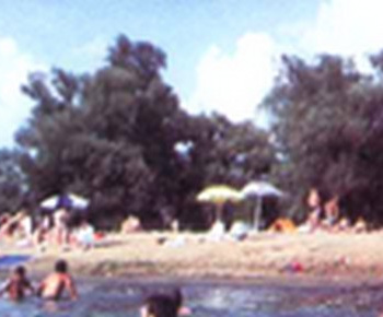Pláž pri Latorici